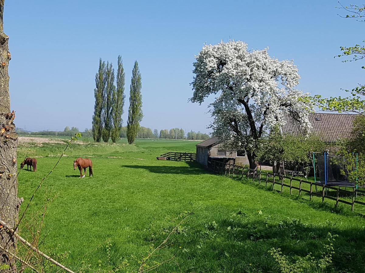 Het Voorhuis Boerderij Hoeve Vrede Best Веесп Екстериор снимка